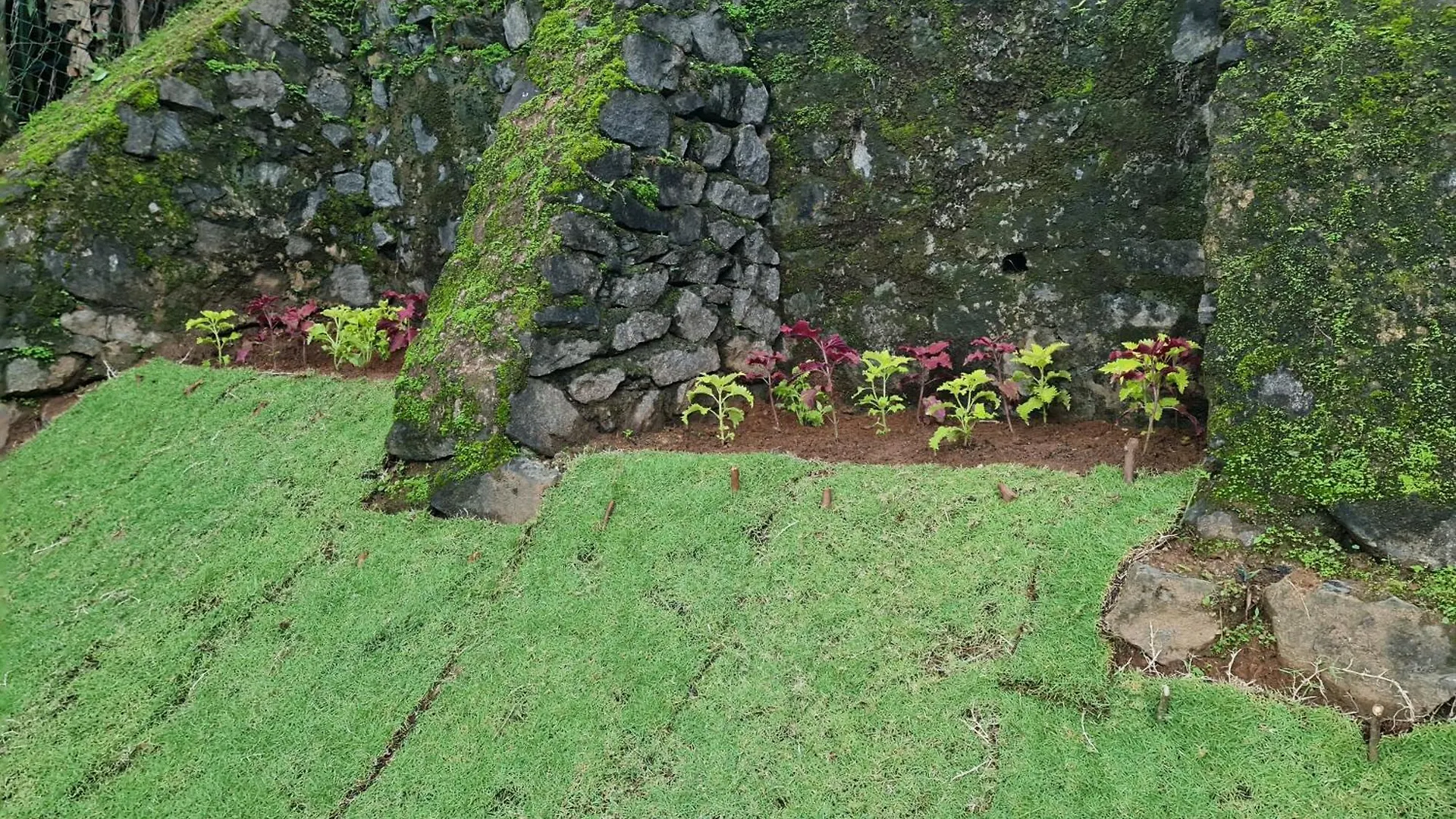 Hello Kandy Homestay